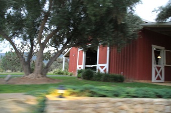 Enlarge photo 17