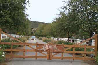 Enlarge photo 2