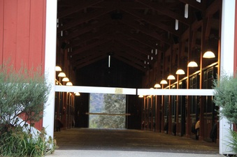 Enlarge photo 24