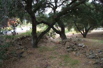Enlarge photo 25