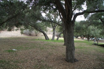 Enlarge photo 26