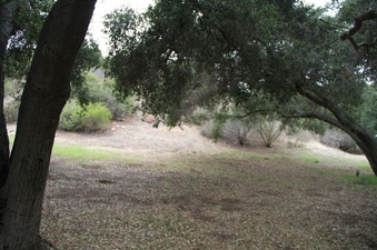 Enlarge photo 27