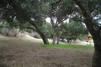 Enlarge photo 28