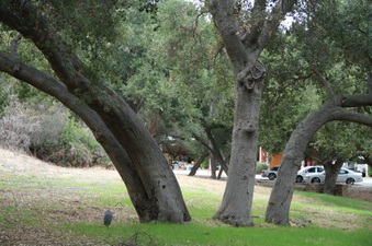 Enlarge photo 29