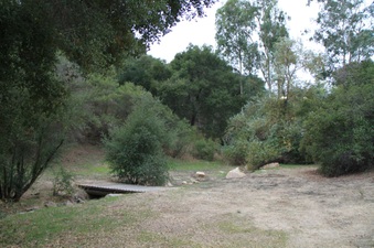 Enlarge photo 33