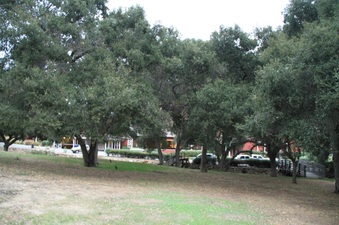 Enlarge photo 34