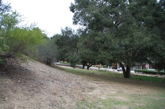 Enlarge photo 35