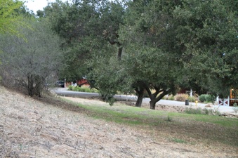 Enlarge photo 36