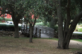 Enlarge photo 37