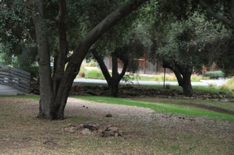 Enlarge photo 38