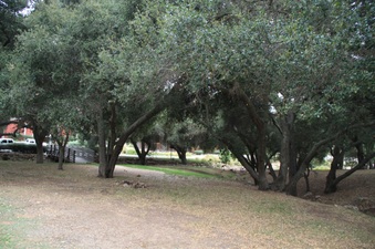 Enlarge photo 39