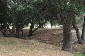 Enlarge photo 40
