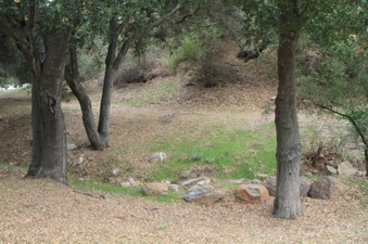 Enlarge photo 41