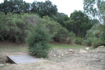 Enlarge photo 42