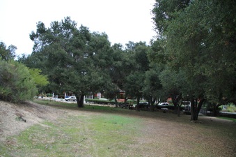 Enlarge photo 43