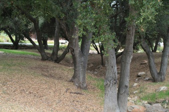 Enlarge photo 44