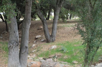 Enlarge photo 46