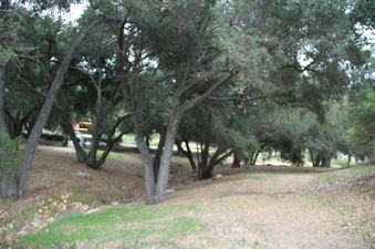 Enlarge photo 47