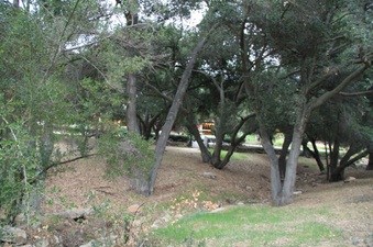 Enlarge photo 48