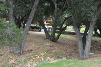 Enlarge photo 49