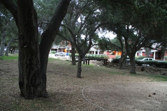 Enlarge photo 51