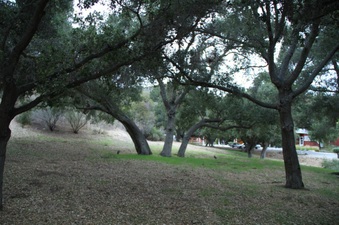 Enlarge photo 53
