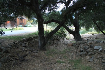 Enlarge photo 54