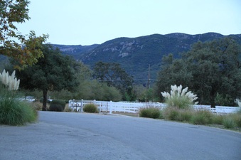 Enlarge photo 59