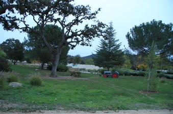 Enlarge photo 62