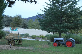 Enlarge photo 63