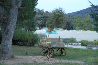 Enlarge photo 64