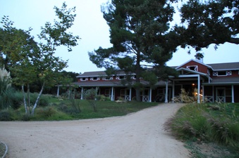 Enlarge photo 67