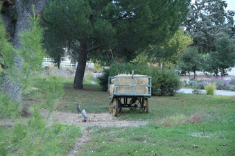 Enlarge photo 68