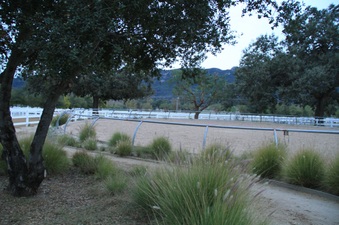 Enlarge photo 69