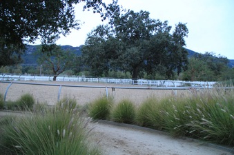 Enlarge photo 70