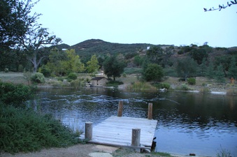Enlarge photo 71