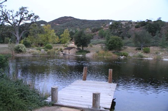 Enlarge photo 72