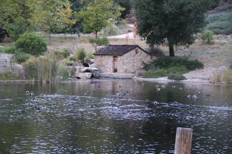 Enlarge photo 73