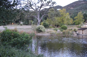 Enlarge photo 74