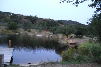 Enlarge photo 75