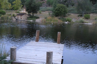 Enlarge photo 76
