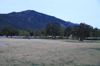 Enlarge photo 81