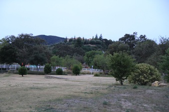 Enlarge photo 83