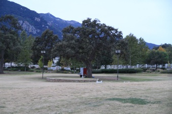Enlarge photo 84