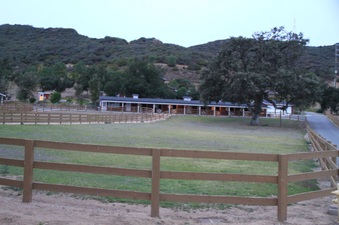 Enlarge photo 85