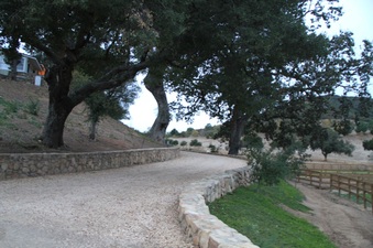 Enlarge photo 86