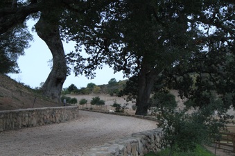 Enlarge photo 87
