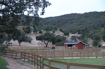 Enlarge photo 88