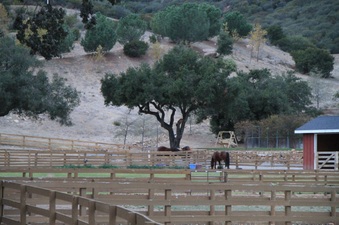 Enlarge photo 89
