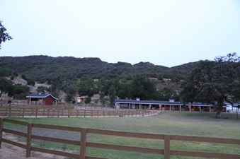 Enlarge photo 90